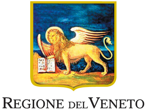 logo regione veneto